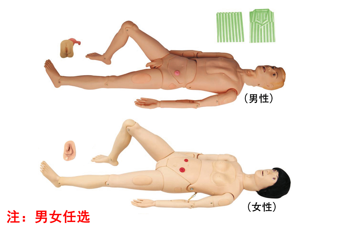 高級組合式基礎(chǔ)護(hù)理人訓(xùn)練模型